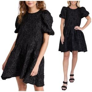 Endless Rose Revolve Organza  Puff Sleeve Drop Waist Mini Dress